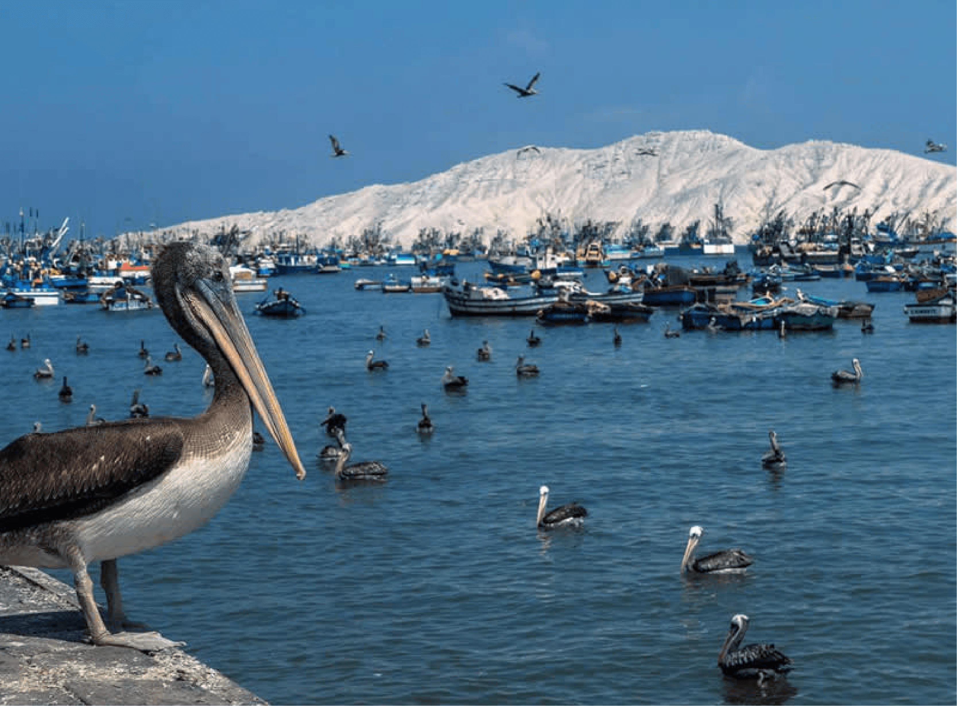 Chimbote